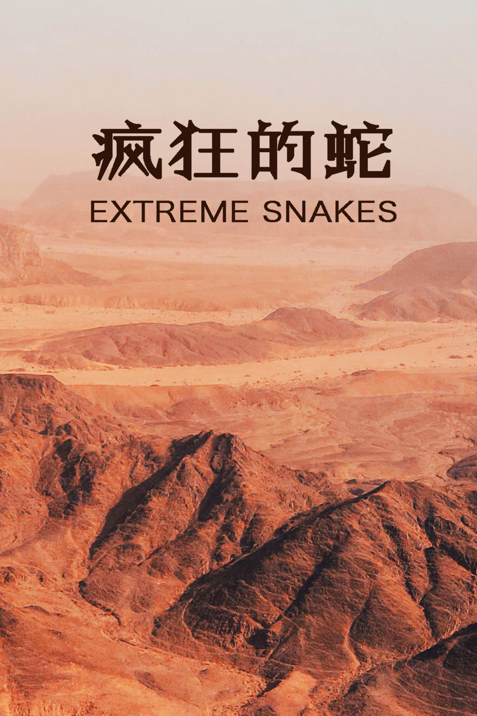 疯狂的蛇