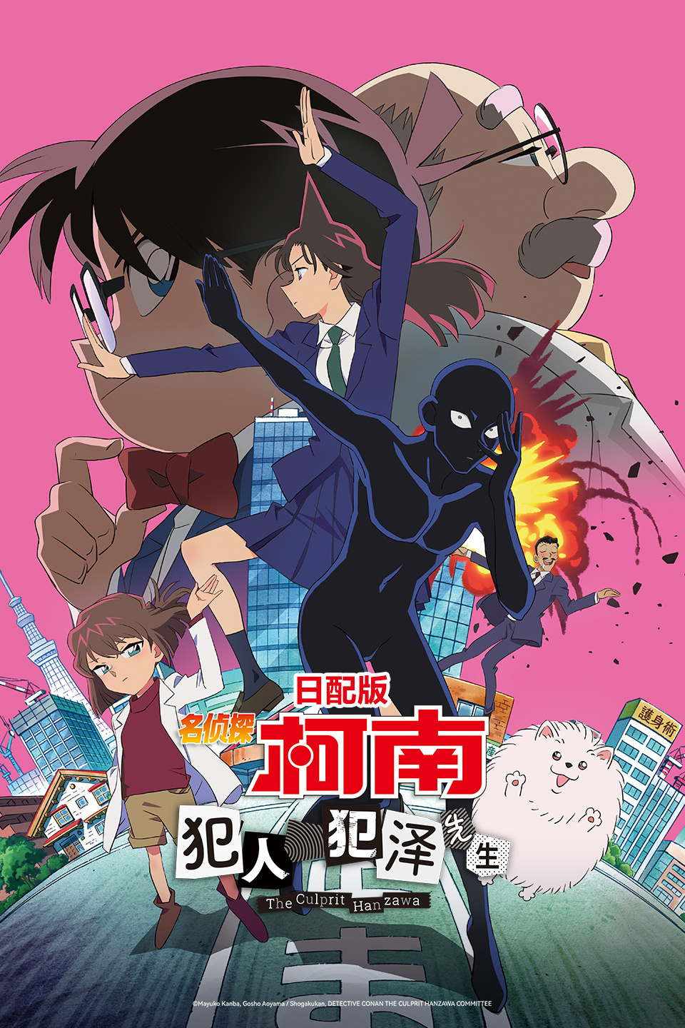 名侦探柯南:犯人犯泽先生 日配版