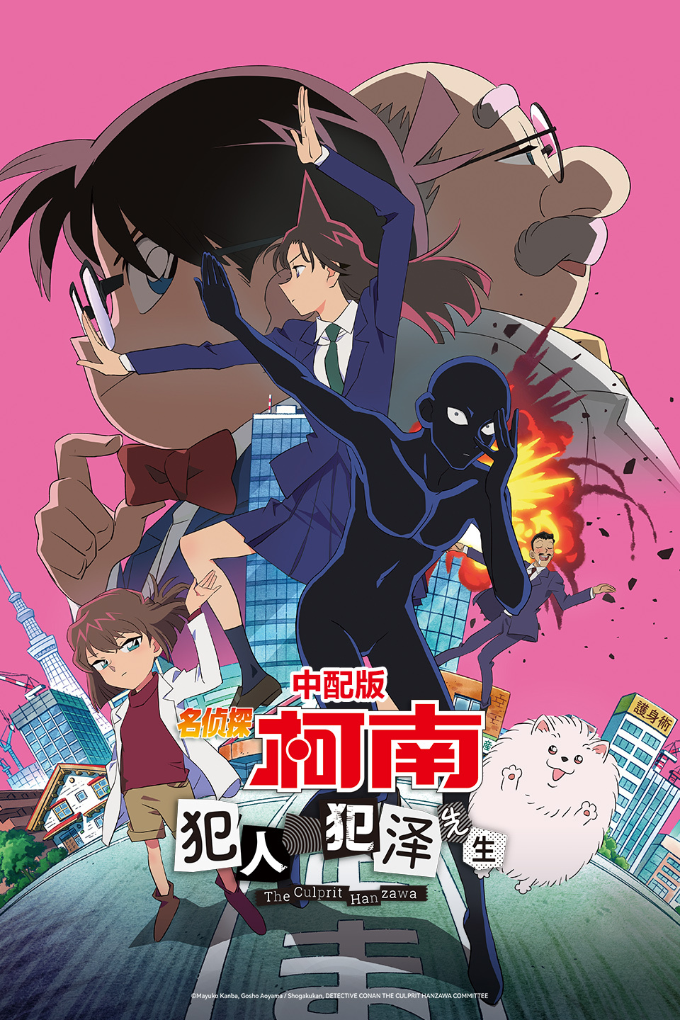 名侦探柯南:犯人犯泽先生 版
