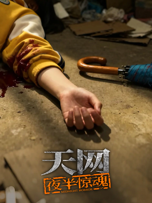 天网:夜半惊魂