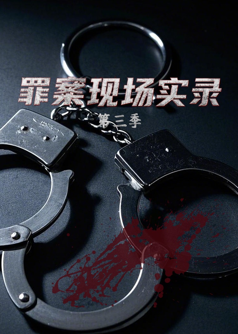 罪案现场实录  第三季