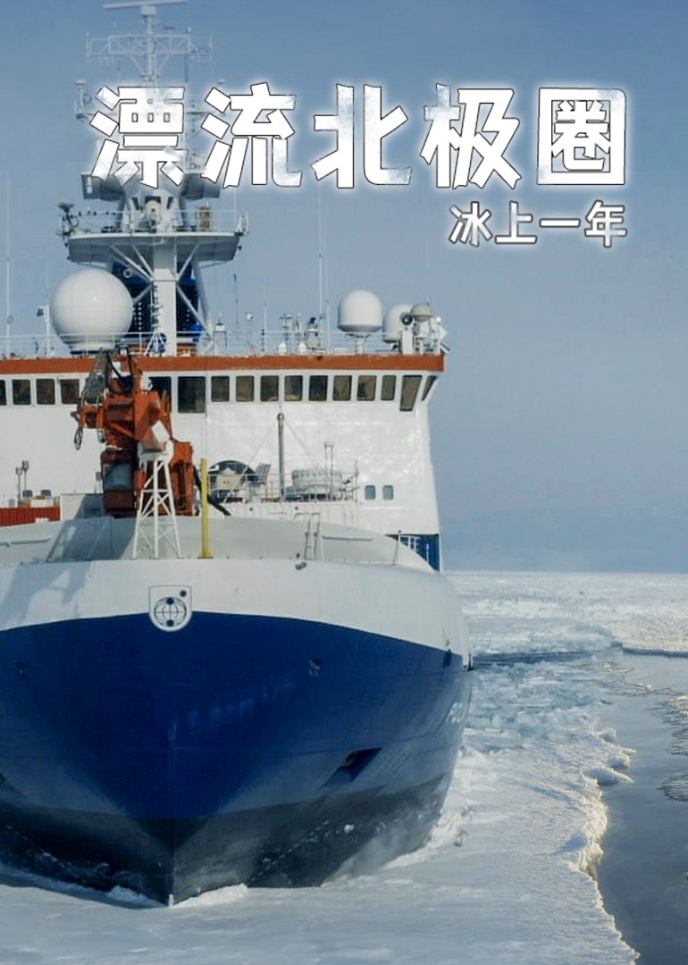 漂流北极圈:冰上一年