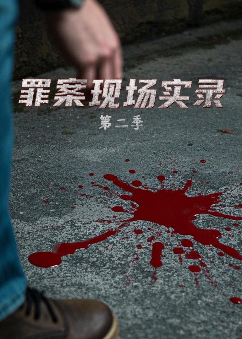 罪案现场实录  第二季