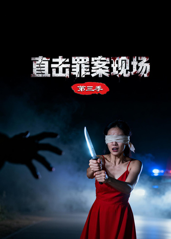 直击罪案现场    第三季