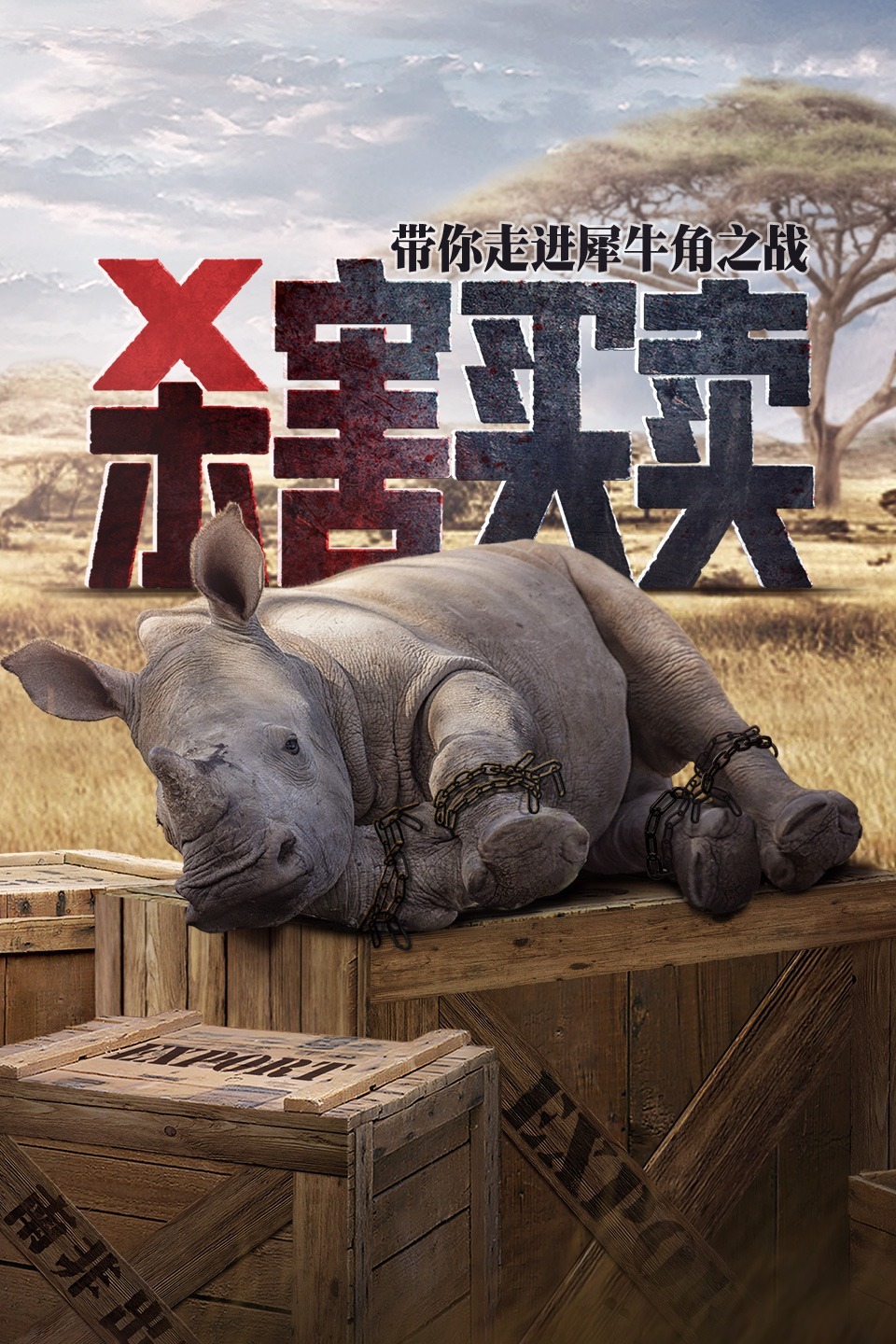 杀害买卖:带你走进犀牛角之战