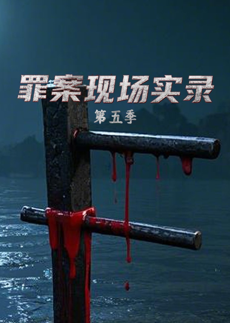 罪案现场实录  第五季