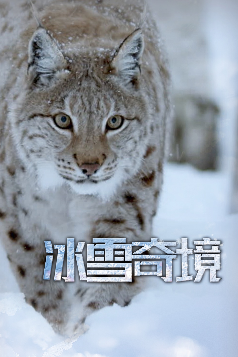 冰雪奇境