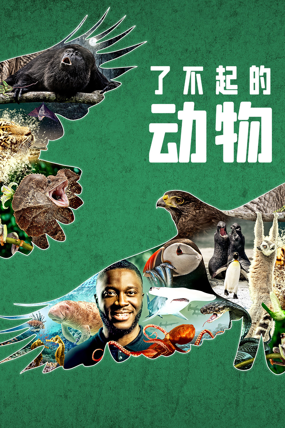 了不起的动物