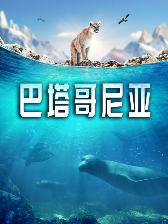 巴塔哥尼亚