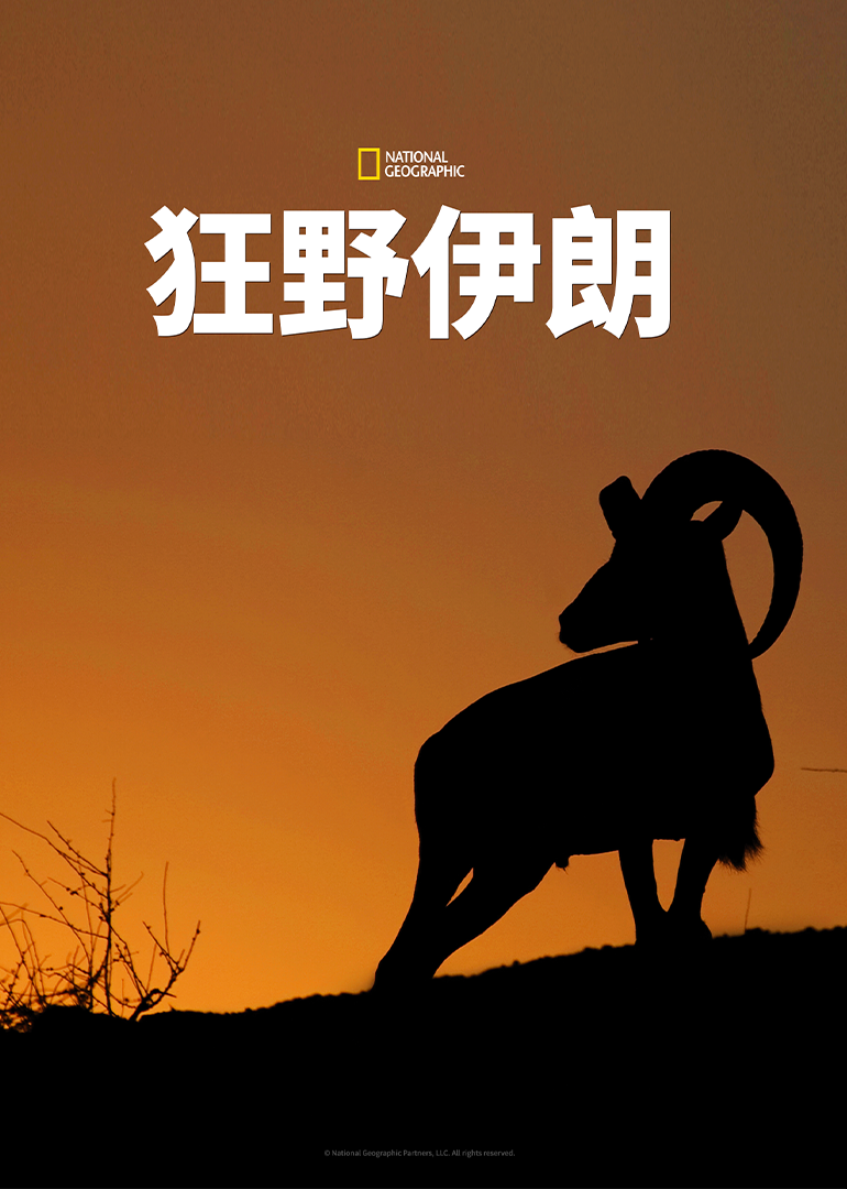 狂野伊朗