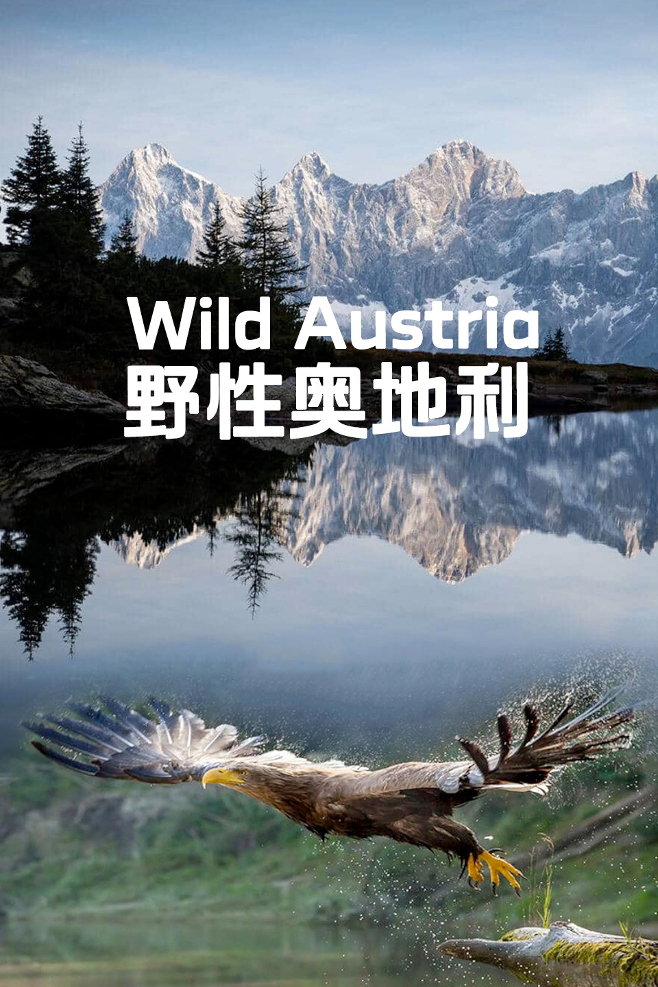 野性奥地利