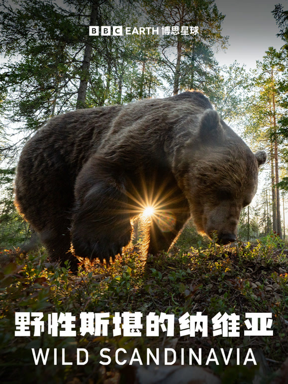 野性斯堪的纳维亚