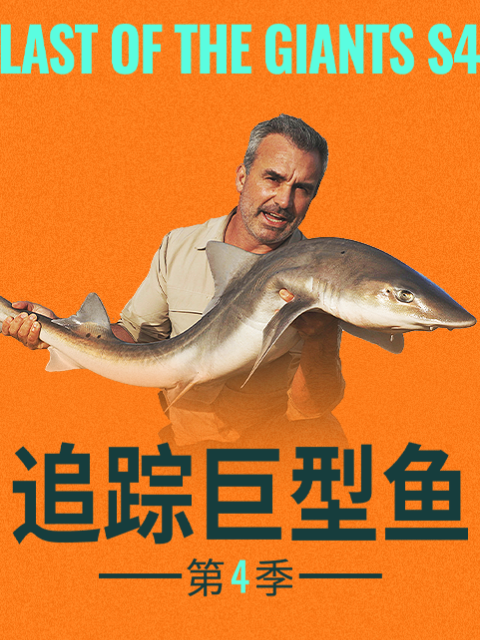 追踪巨型鱼  第四季