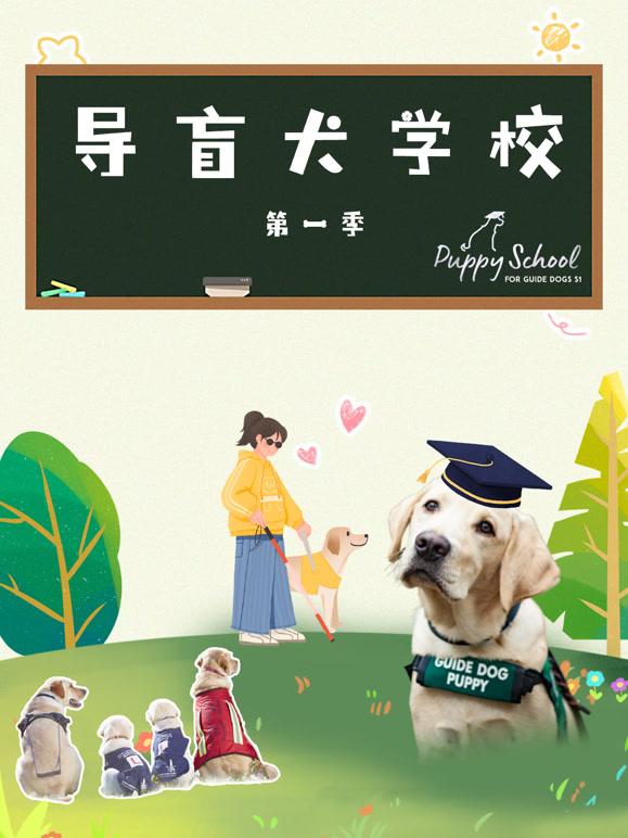 导盲犬学校