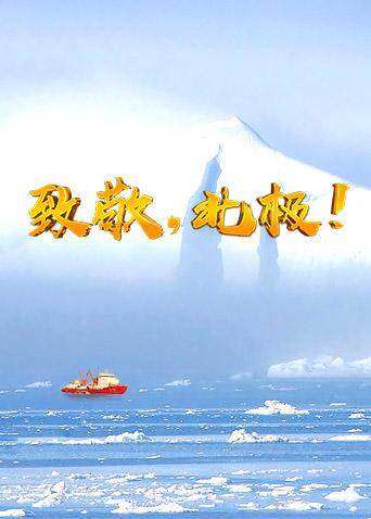 致敬北极