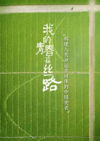 我的青春在丝路