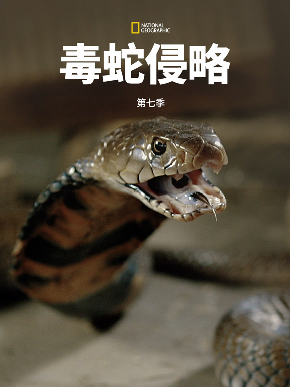 毒蛇侵略  第七季