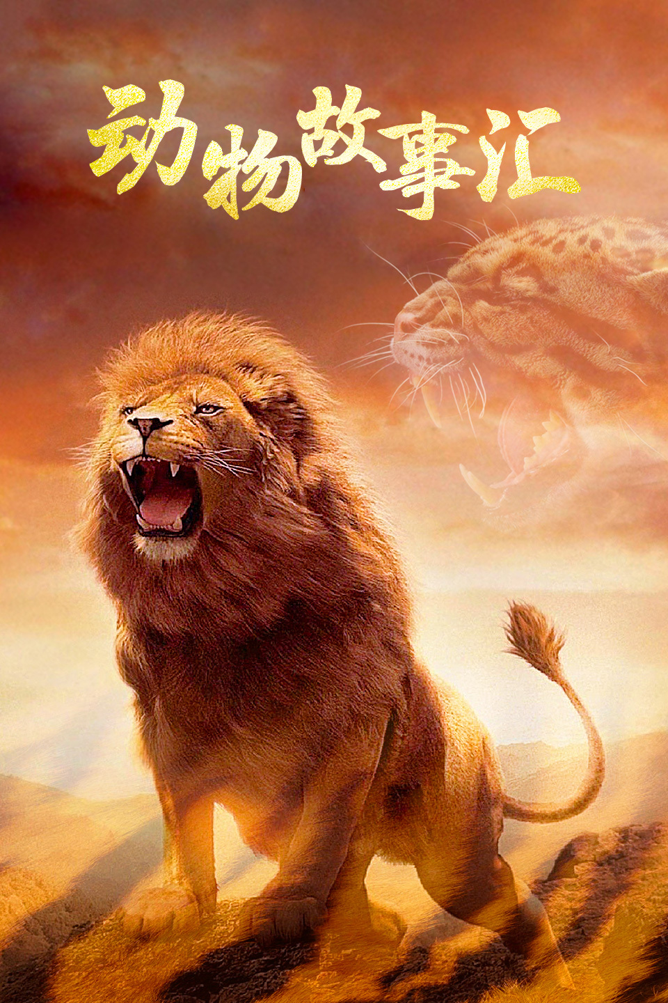 动物故事汇