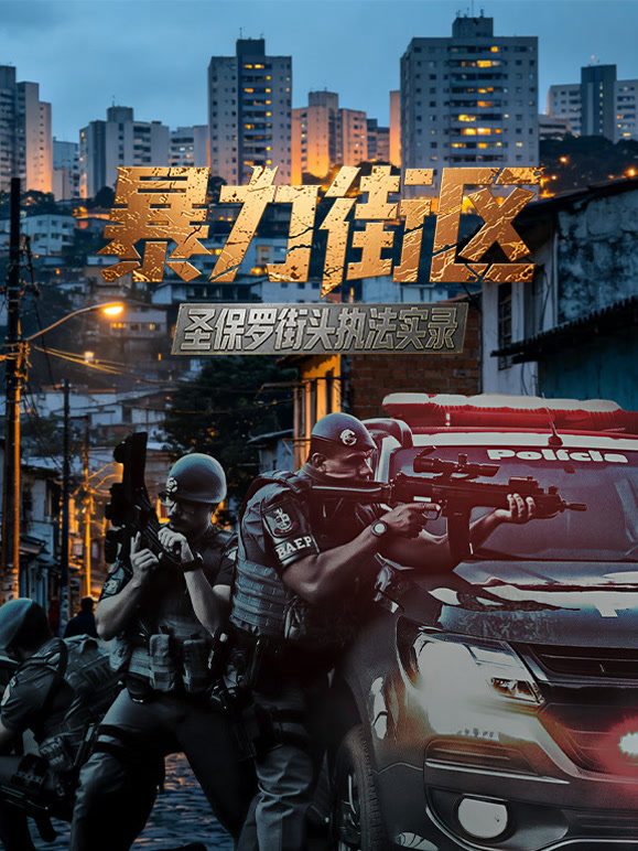 暴力街区:圣保罗街头执法实录