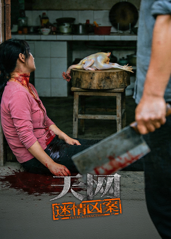 天网:迷情凶案