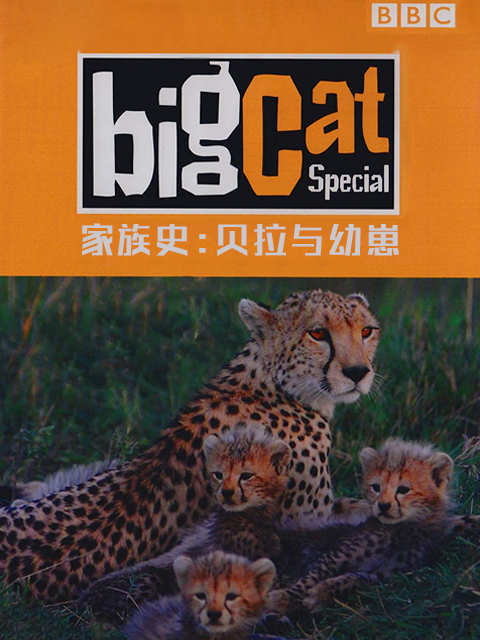 大猫日记 家族史:贝拉与幼崽