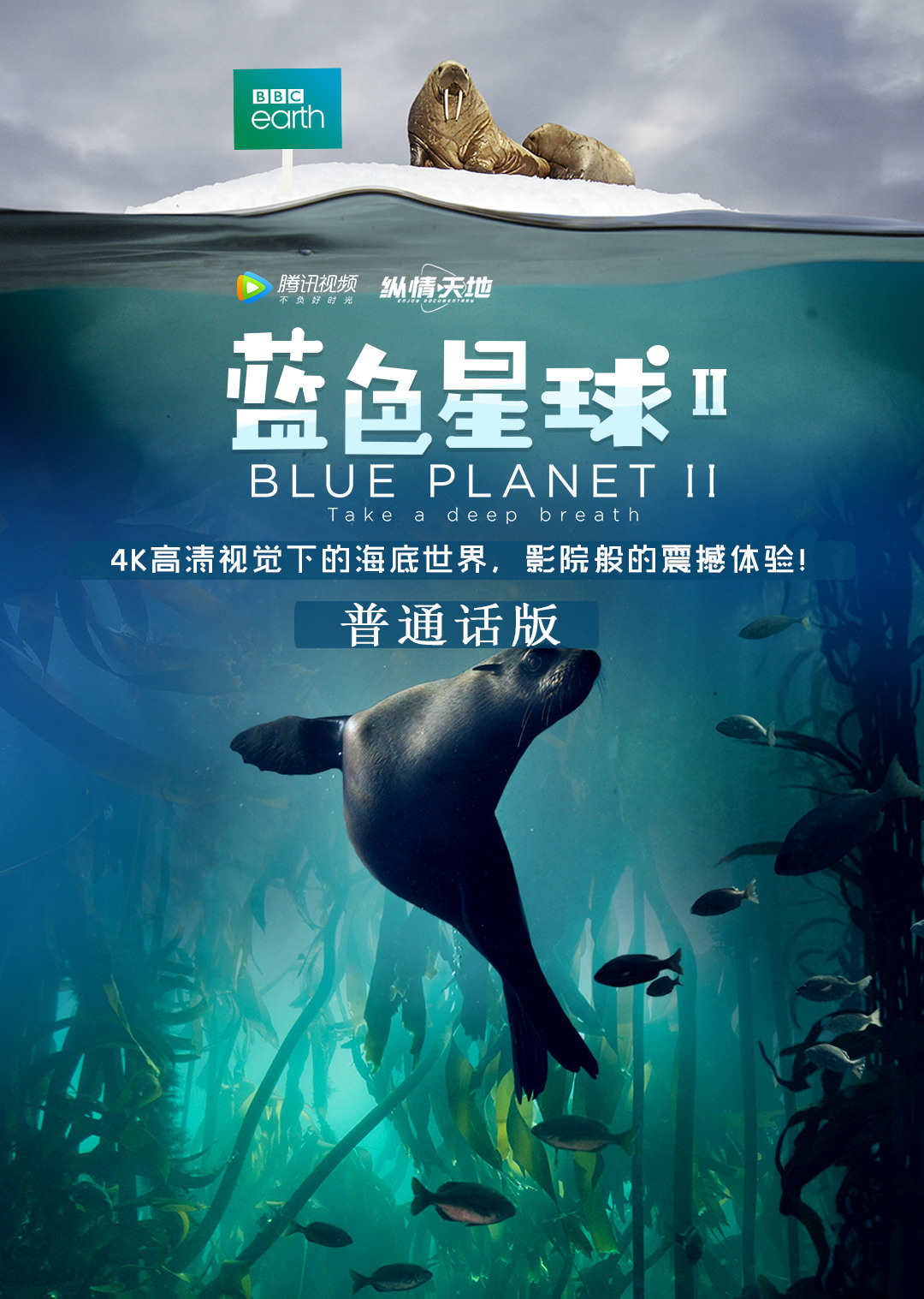 蓝色星球  第二季