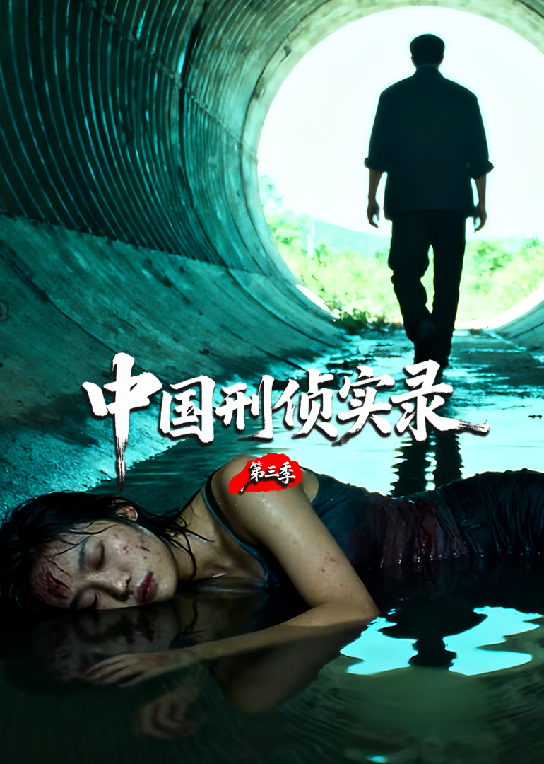 中国刑侦实录  第三季