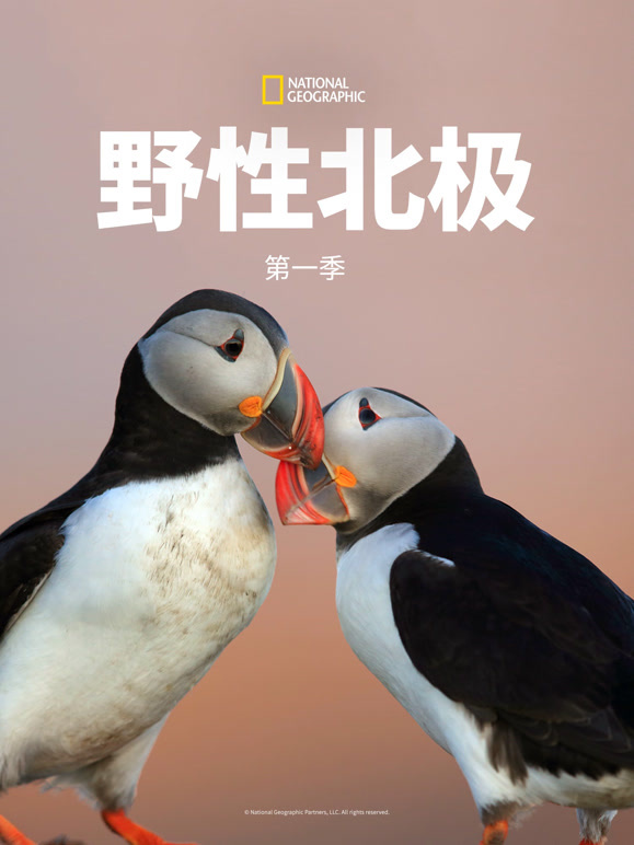 野性北极
