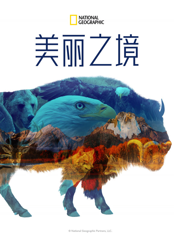 美丽之境