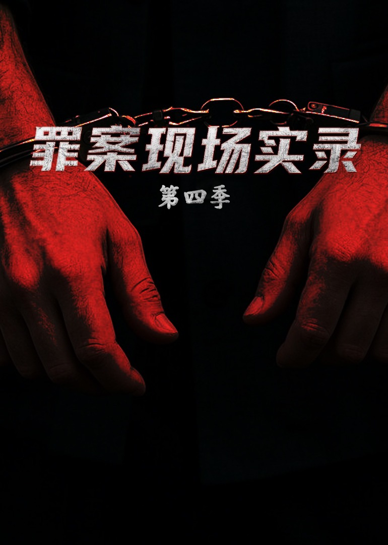 罪案现场实录  第四季