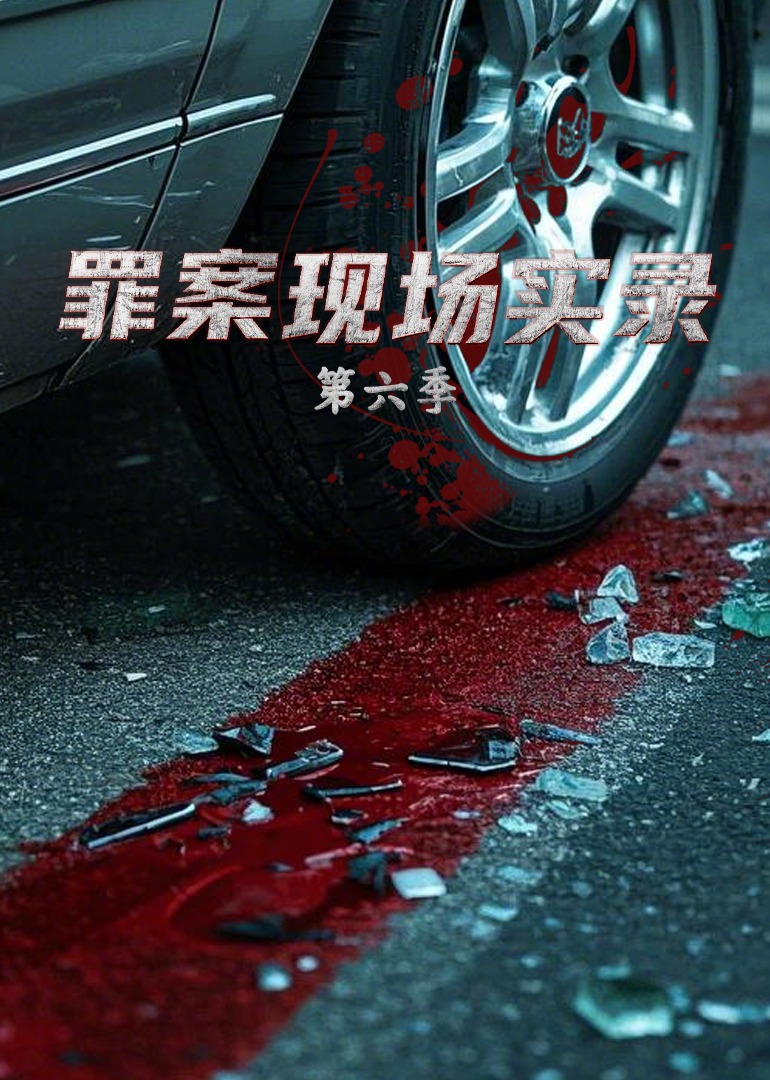罪案现场实录  第六季