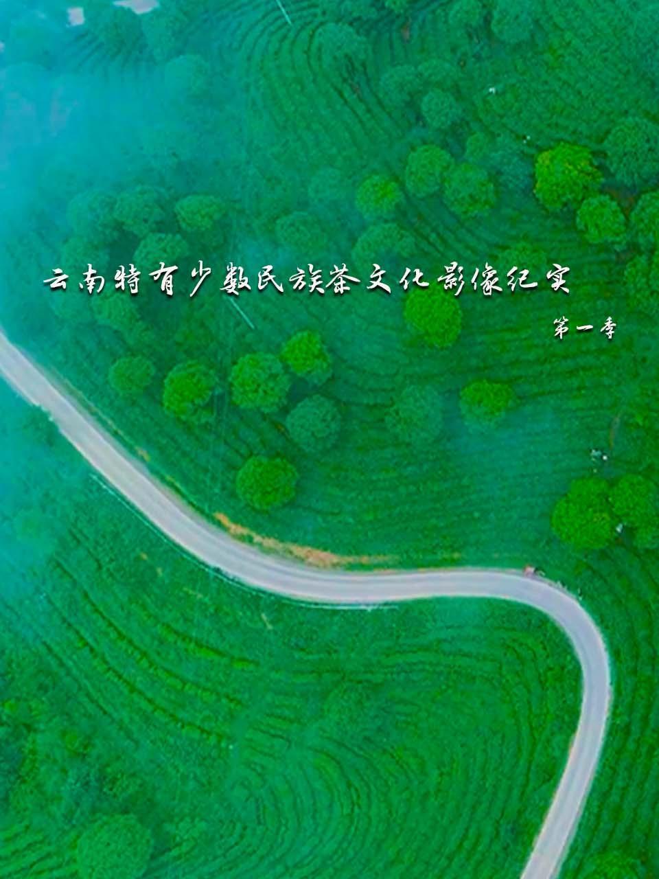 云南特有少数民族茶文化影像纪实