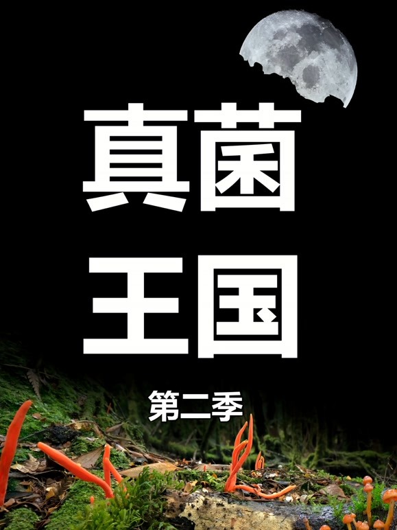 真菌王国 第二季