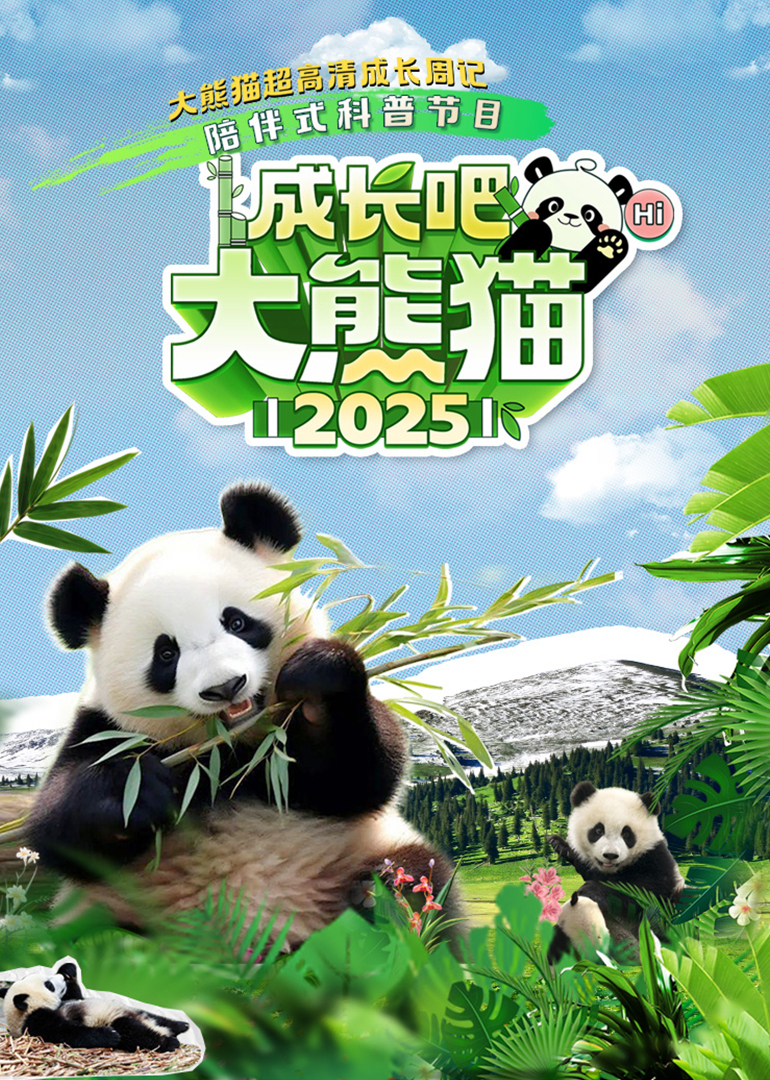 成长吧大熊猫2025