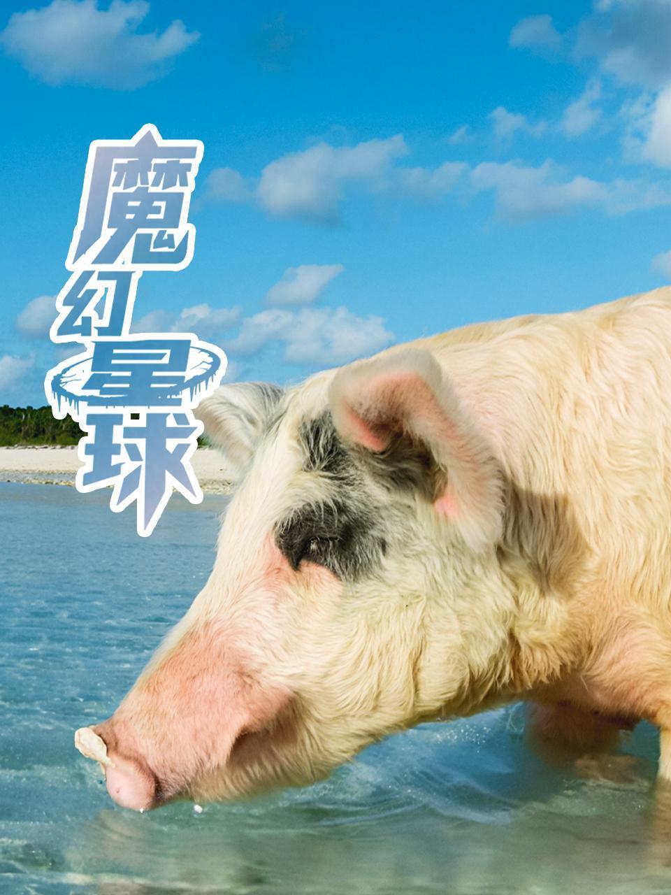 魔幻星球